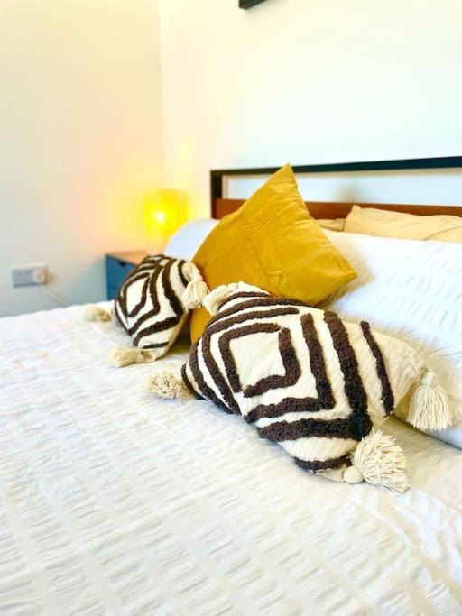 Modern Chic Summer Holiday Retreat. New Quay Extérieur photo