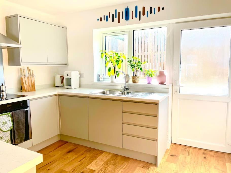 Modern Chic Summer Holiday Retreat. New Quay Extérieur photo